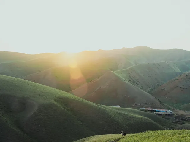 Natură la răsărit