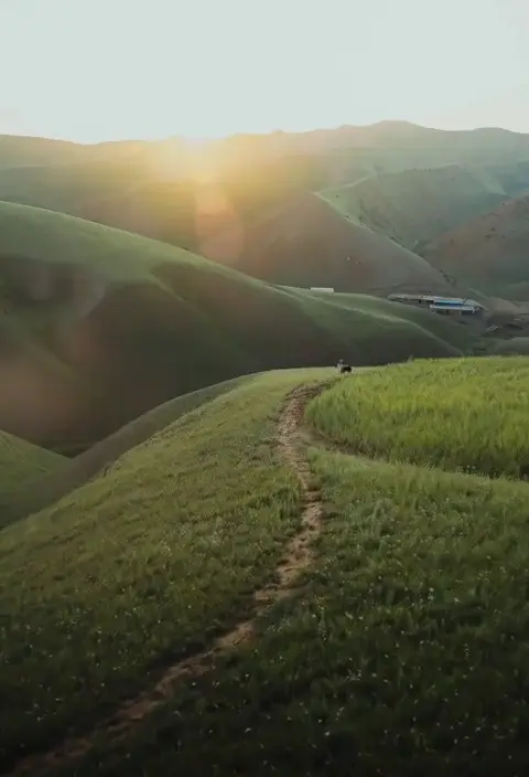 Poteca de dimineață